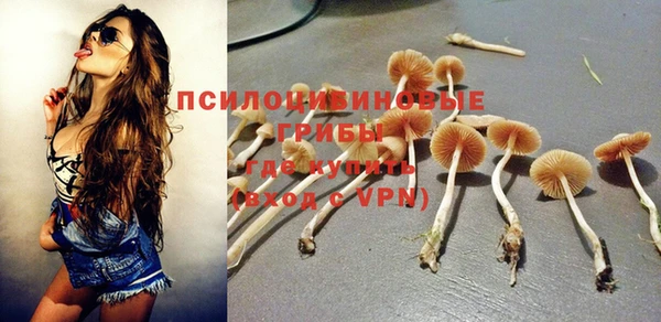 СК Балахна